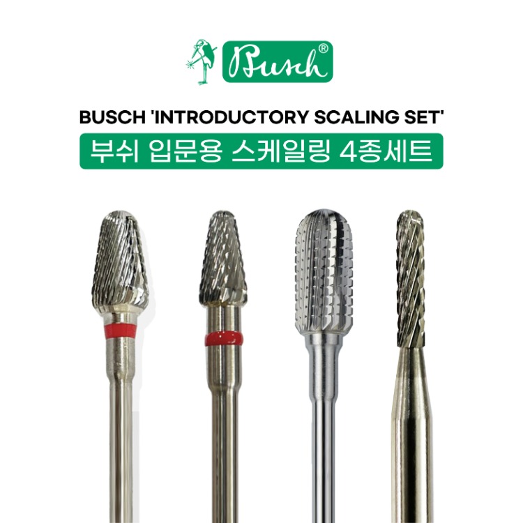 부쉬 균집제거 입문용 스케일링 4종세트